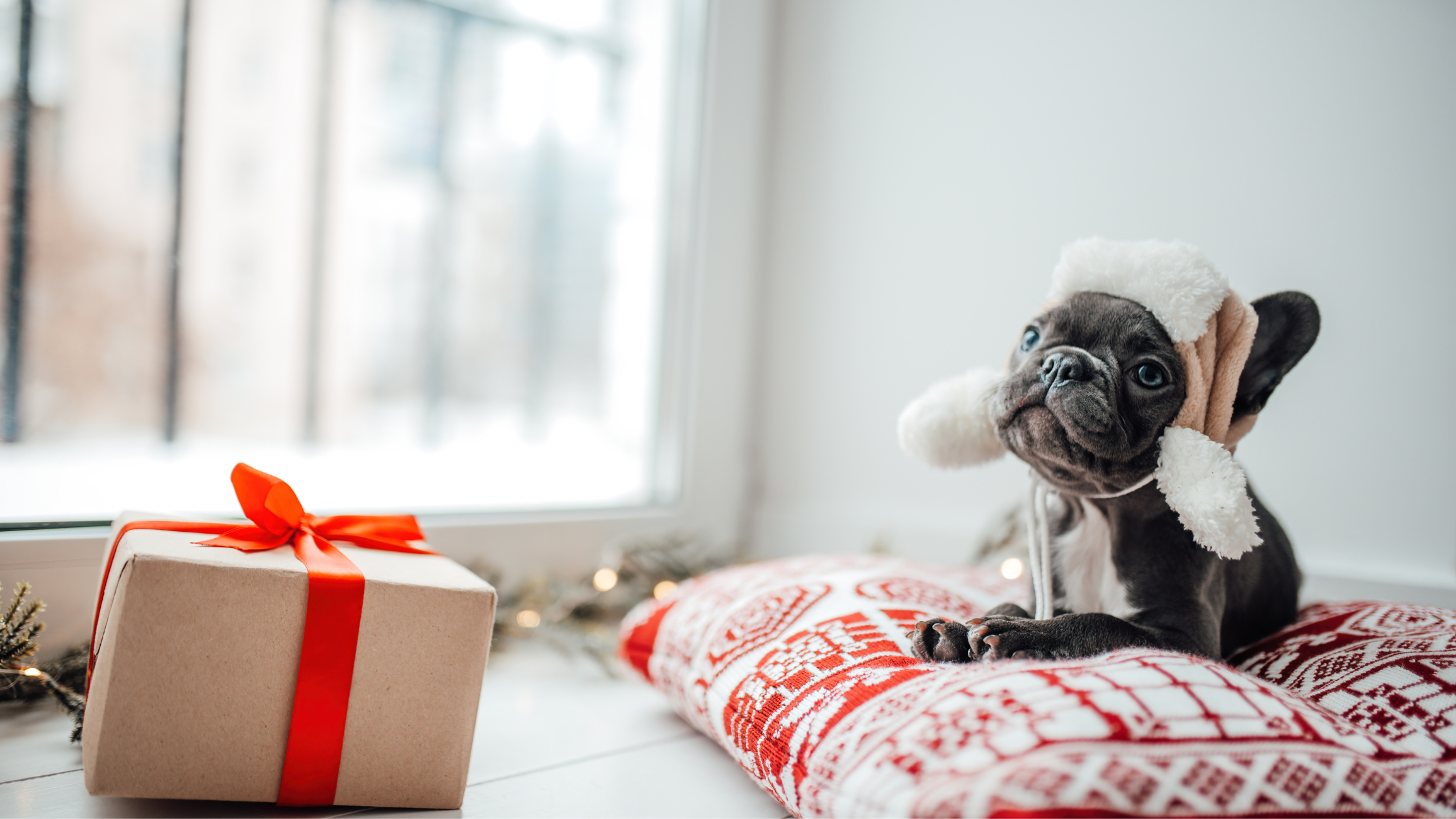 Top 5 Home Essentials You Need This Season